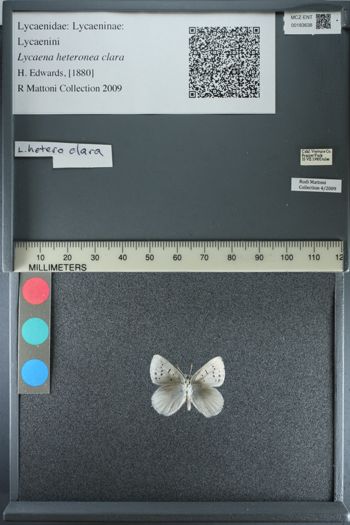 Media type: image;   Entomology 183638